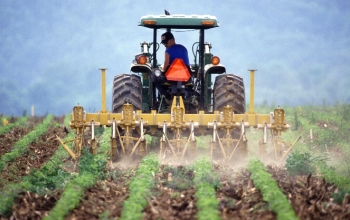  AGRICULTURAL